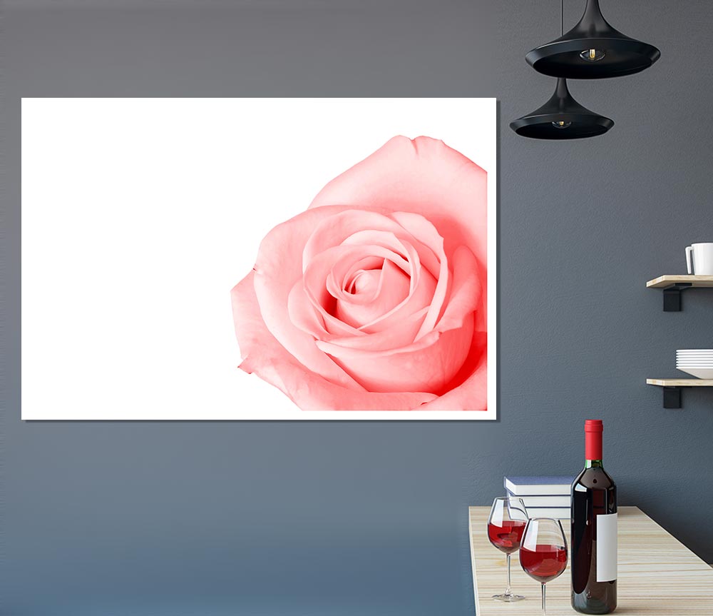 Baby Pink Rose Print Poster Wall Art