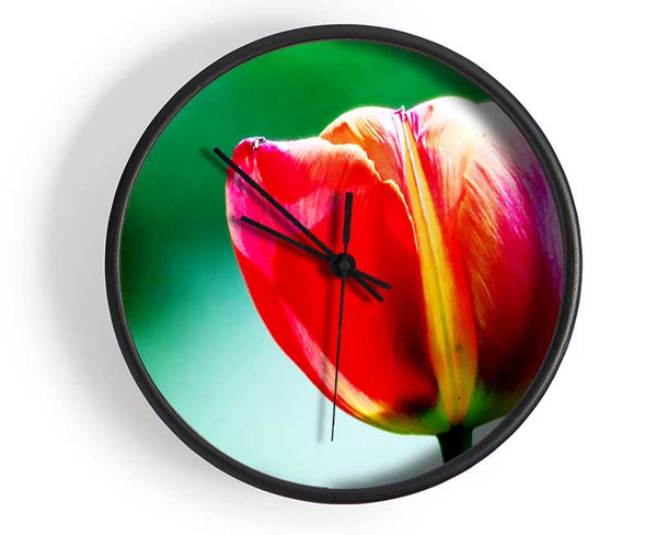 Single Pink Tulip Clock - Wallart-Direct UK