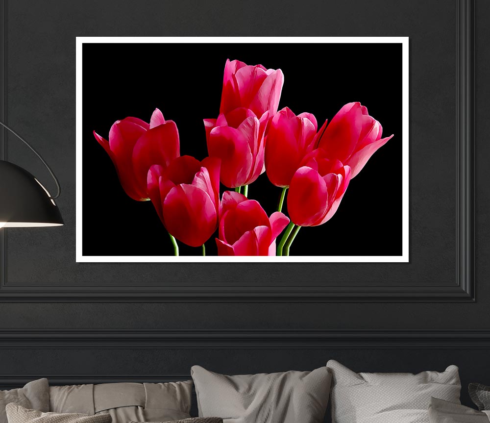 Flower Cerise Tulips Print Poster Wall Art