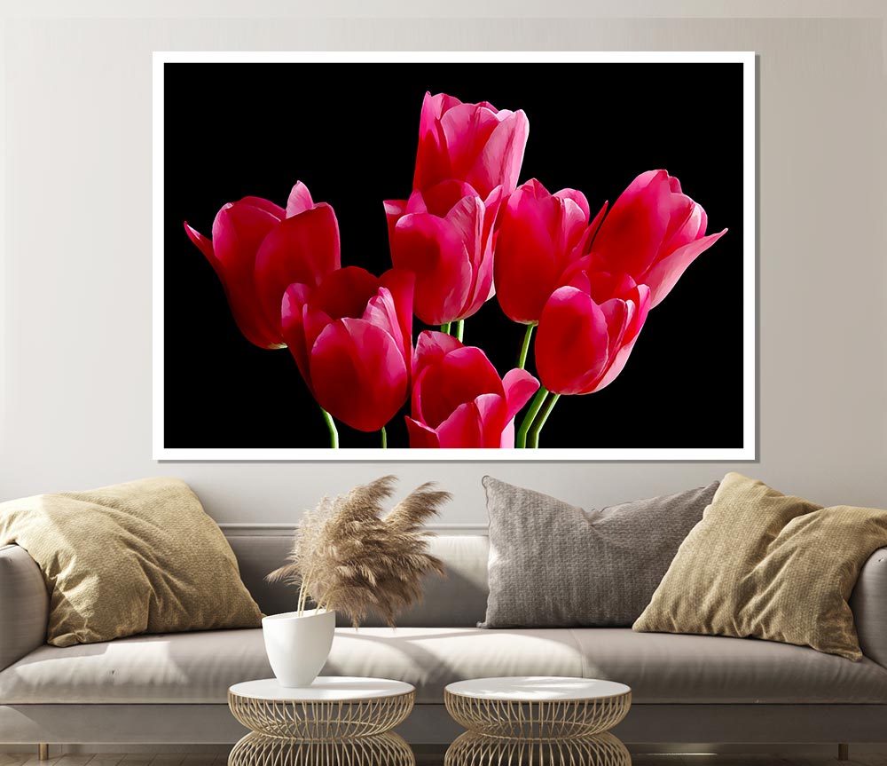 Flower Cerise Tulips Print Poster Wall Art