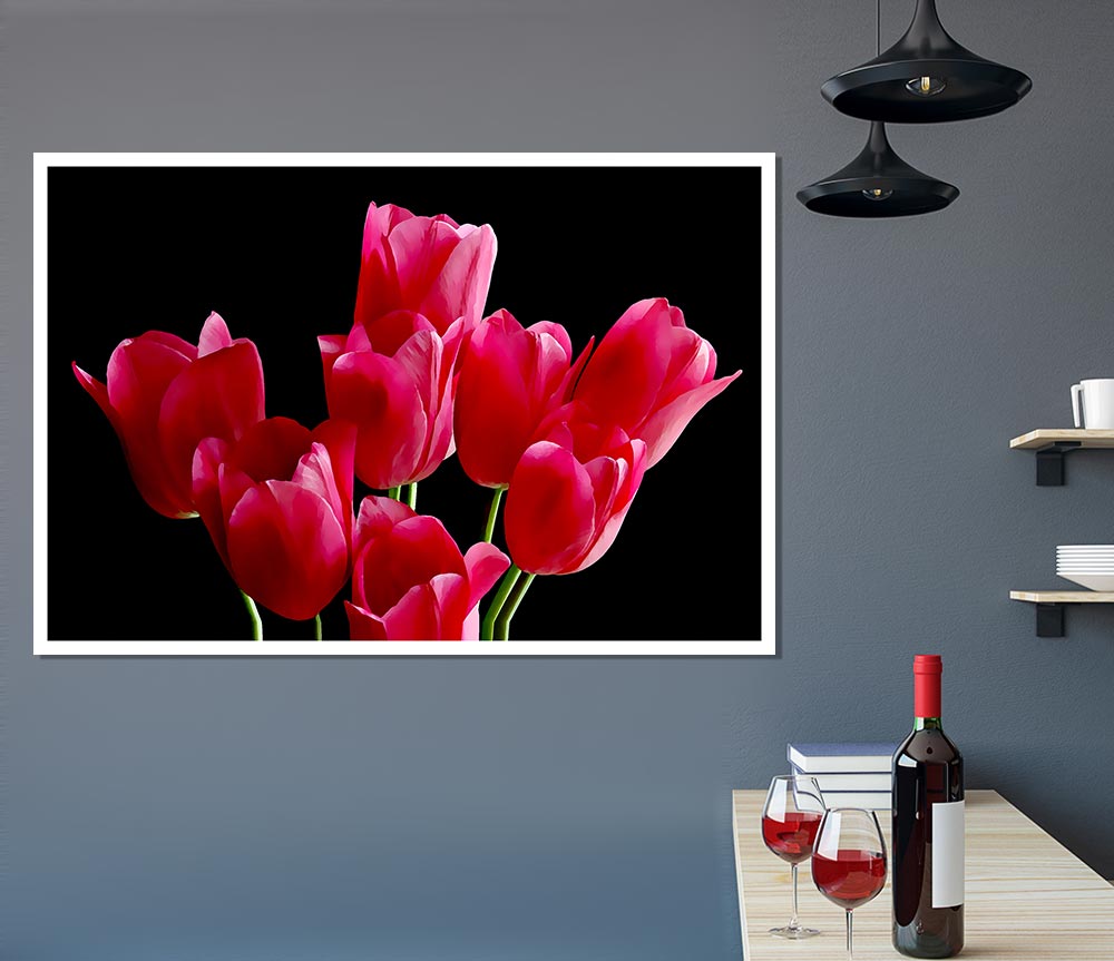 Flower Cerise Tulips Print Poster Wall Art