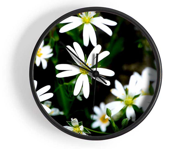 White Garden Daisies Clock - Wallart-Direct UK