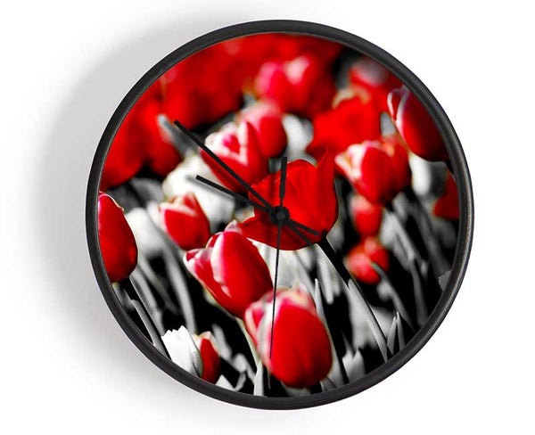 Red Tulips On B n W Clock - Wallart-Direct UK