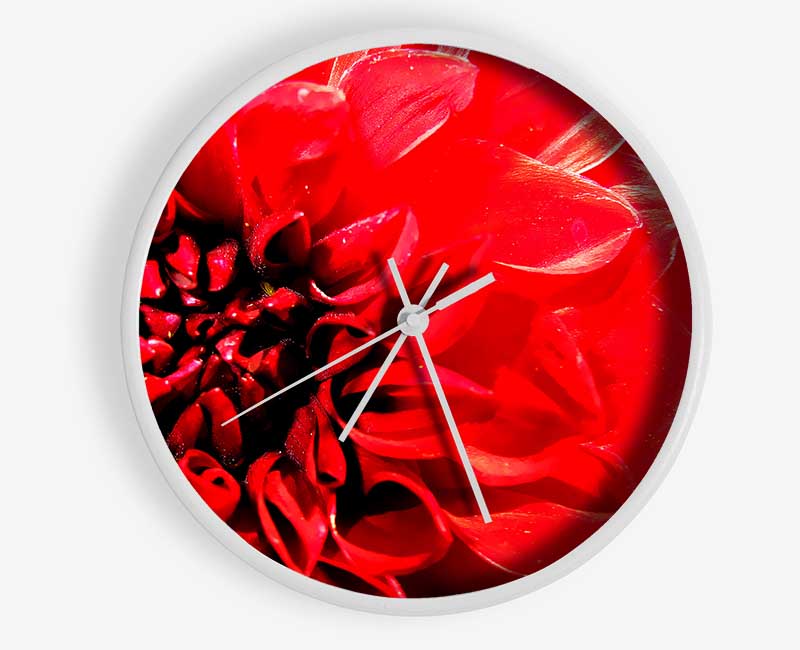 Carnation In Bloom Clock - Wallart-Direct UK