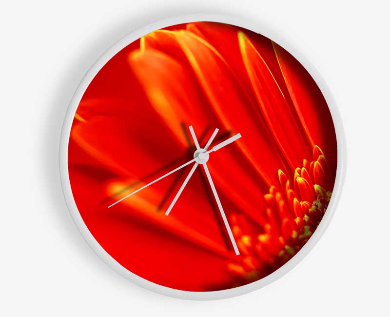 Orange On Orange Gerbera Petals Clock - Wallart-Direct UK