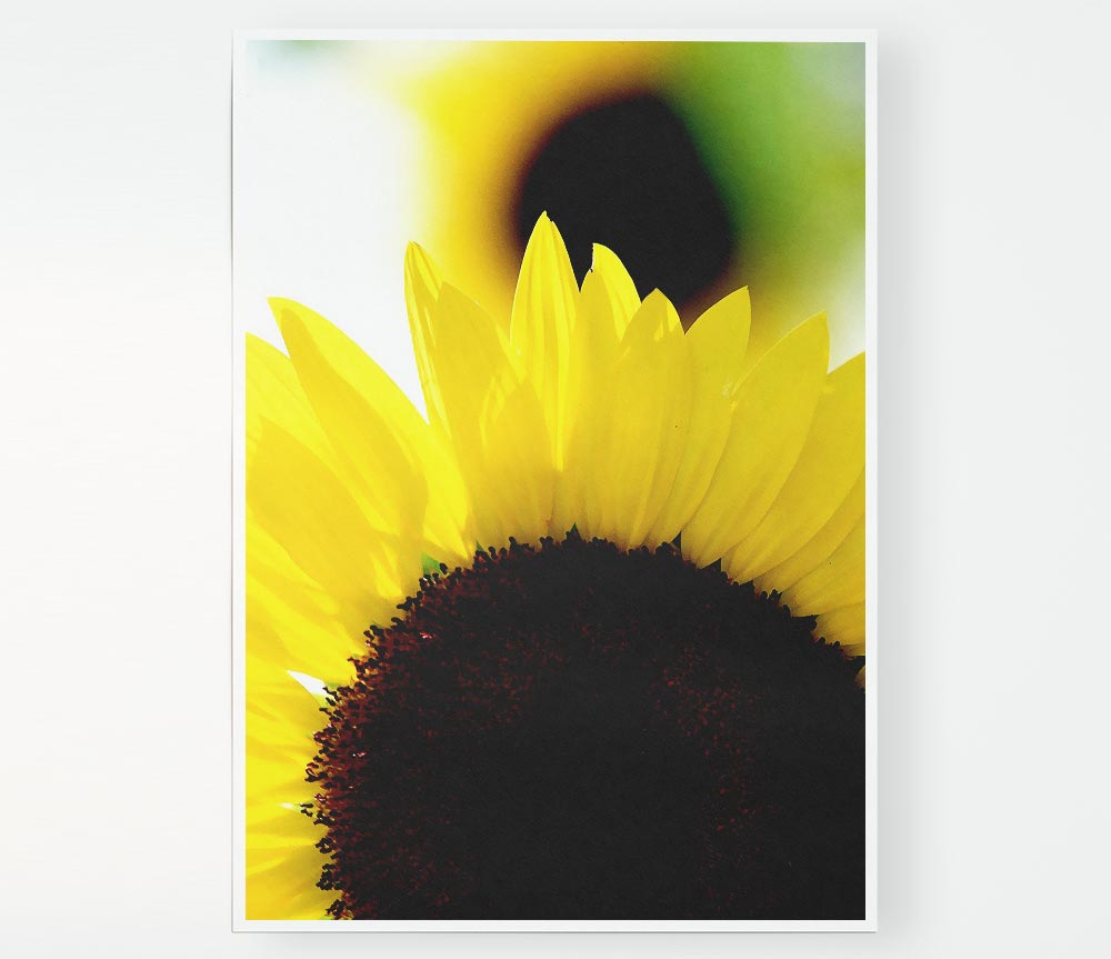 Vibrant Yellow Sunflower Print Poster Wall Art