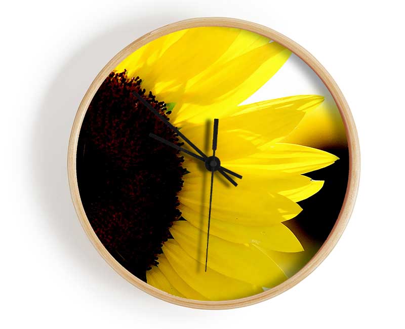 Sunflower Really Close-Up Clock - Wallart-Direct UK