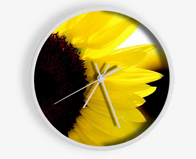 Sunflower Really Close-Up Clock - Wallart-Direct UK