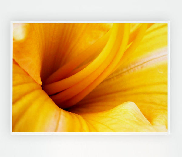 Yellow Trumpet Print Poster Wall Art