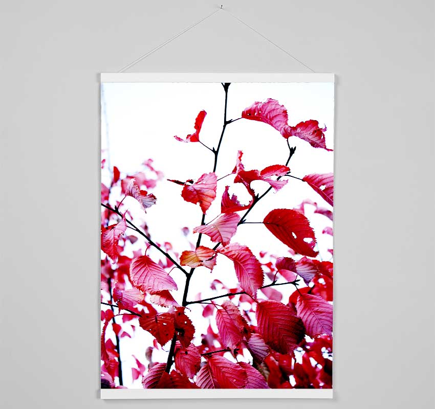 Red Leaves In Autumn Hanging Poster - Wallart-Direct UK