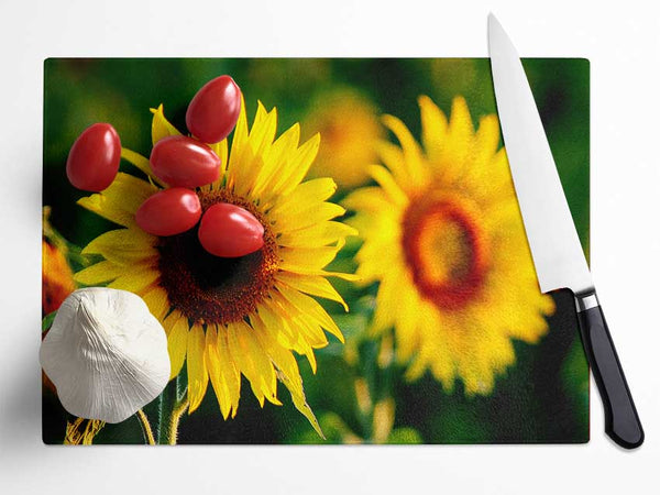 Sunflower Duo Glass Chopping Board