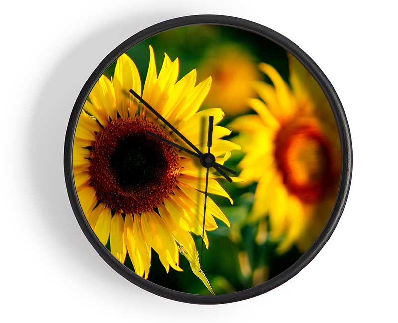 Sunflower Duo Clock - Wallart-Direct UK