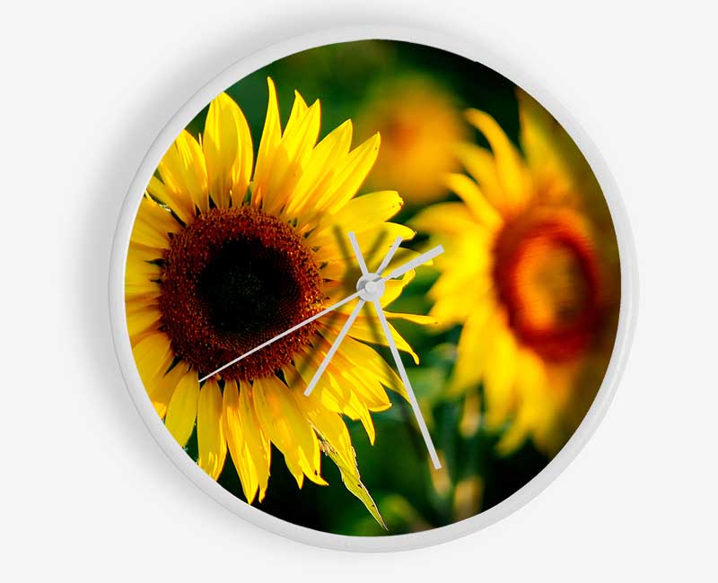 Sunflower Duo Clock - Wallart-Direct UK