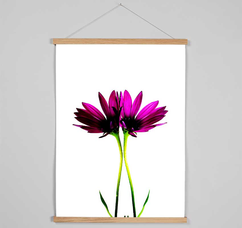 Pink Reflections Hanging Poster - Wallart-Direct UK