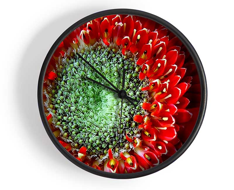 Red Gerbera Green Centre Close-Up Clock - Wallart-Direct UK