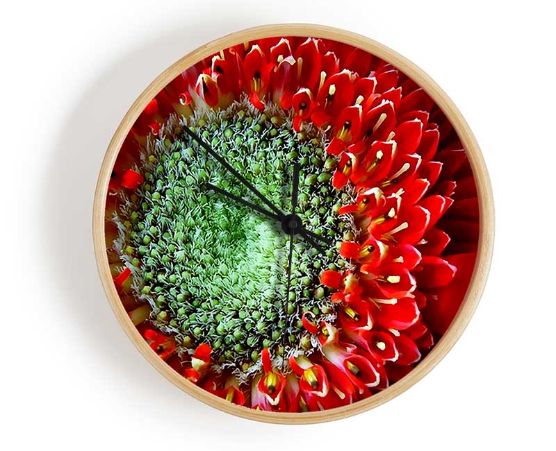 Red Gerbera Green Centre Close-Up Clock - Wallart-Direct UK