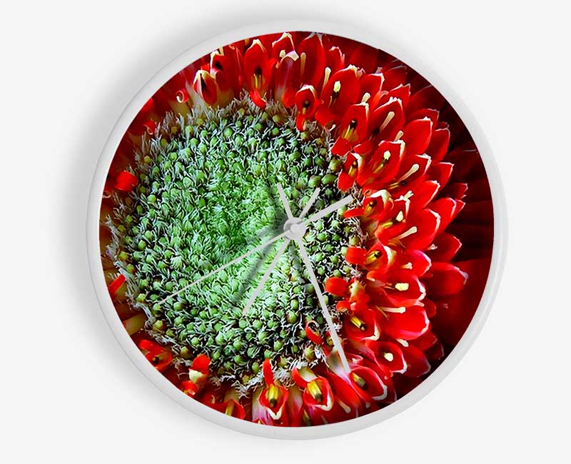 Red Gerbera Green Centre Close-Up Clock - Wallart-Direct UK