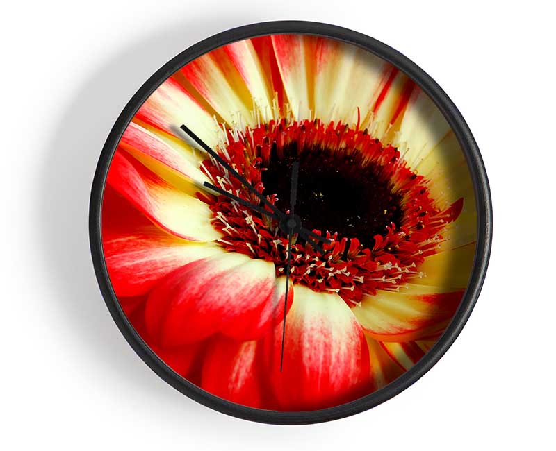 Red Daisy Petals Clock - Wallart-Direct UK