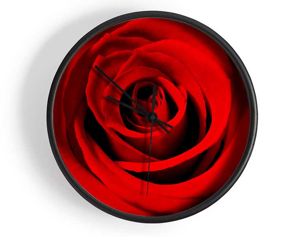 Close-Up Of The Soft Red Rose Clock - Wallart-Direct UK