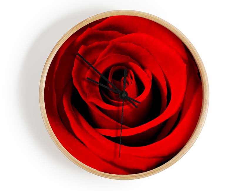 Close-Up Of The Soft Red Rose Clock - Wallart-Direct UK