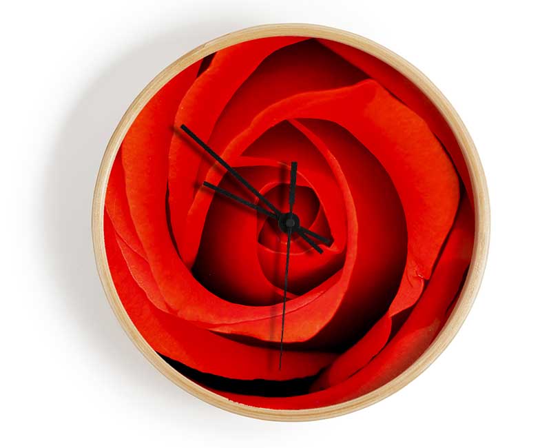 Close-Up Of A Beautiful Rose Clock - Wallart-Direct UK