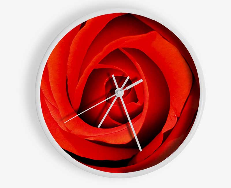 Close-Up Of A Beautiful Rose Clock - Wallart-Direct UK