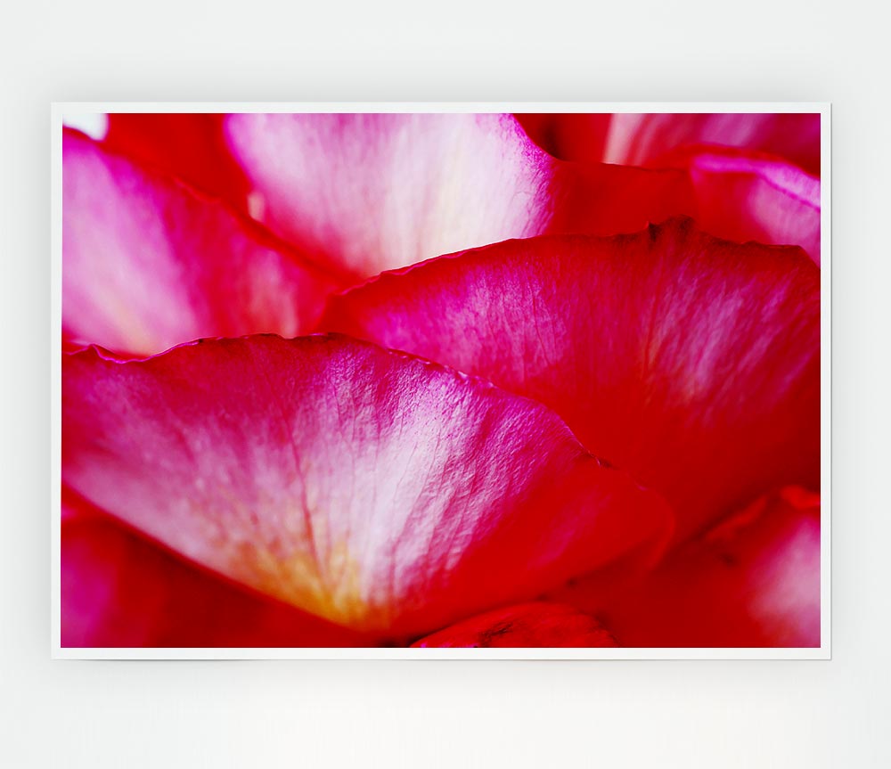 The Waves Of A Pink Flower Print Poster Wall Art