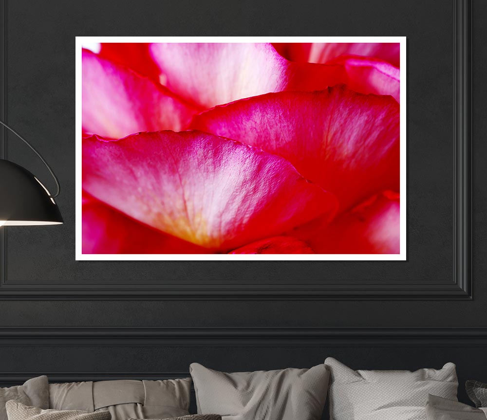 The Waves Of A Pink Flower Print Poster Wall Art