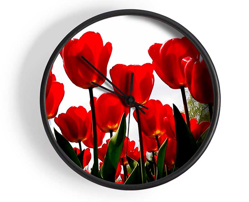 Red Tulip Galore Clock - Wallart-Direct UK