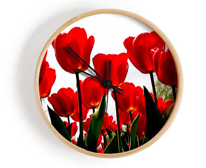 Red Tulip Galore Clock - Wallart-Direct UK