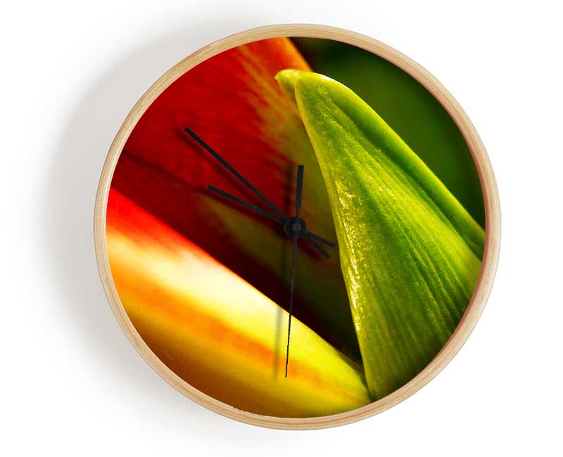 Colours Of Nature Clock - Wallart-Direct UK