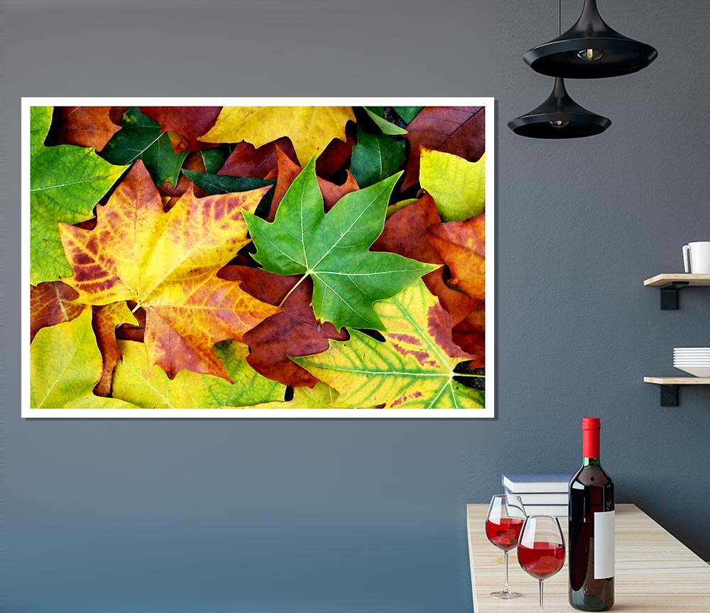 Autumn Leaves Fallen Print Poster Wall Art