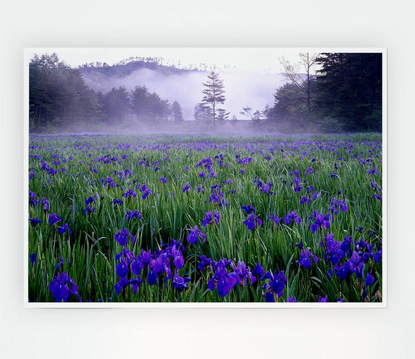 Bluebell Mist Print Poster Wall Art