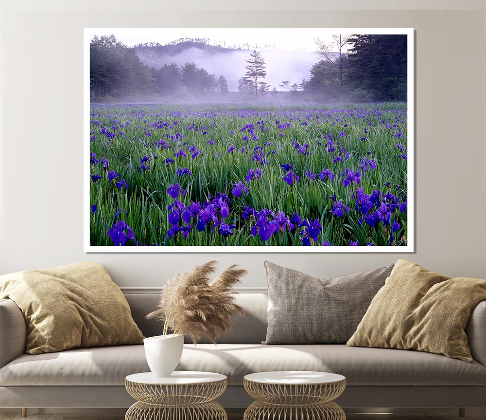 Bluebell Mist Print Poster Wall Art