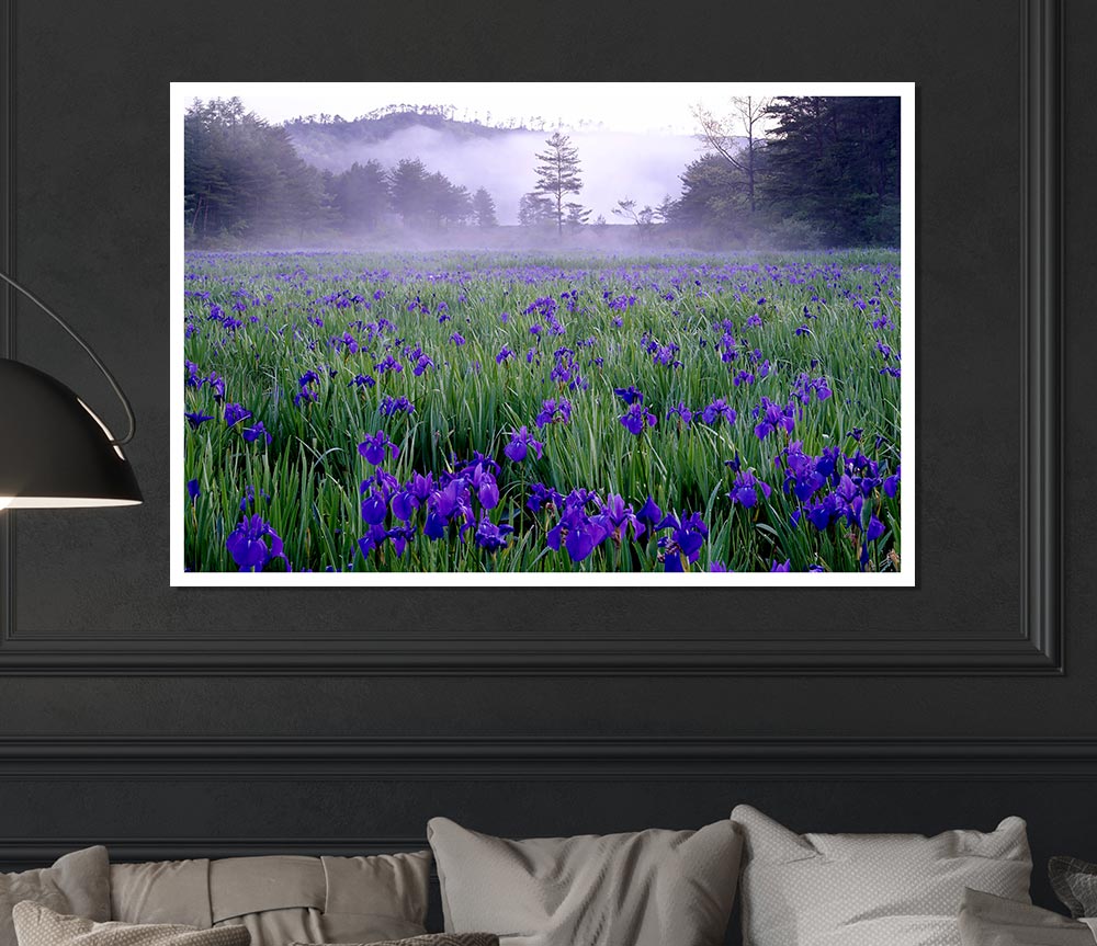 Bluebell Mist Print Poster Wall Art