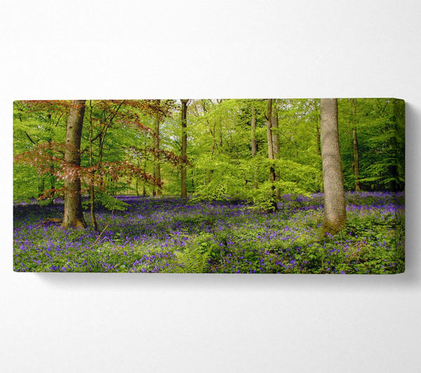 Purple Flowers In The Forest