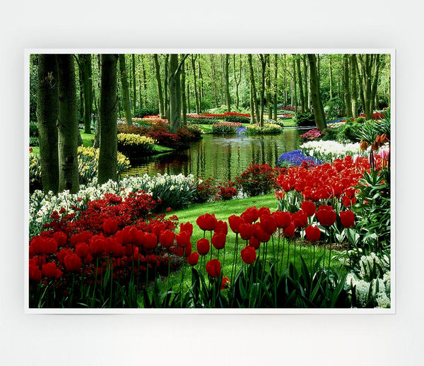 Tulip River Print Poster Wall Art