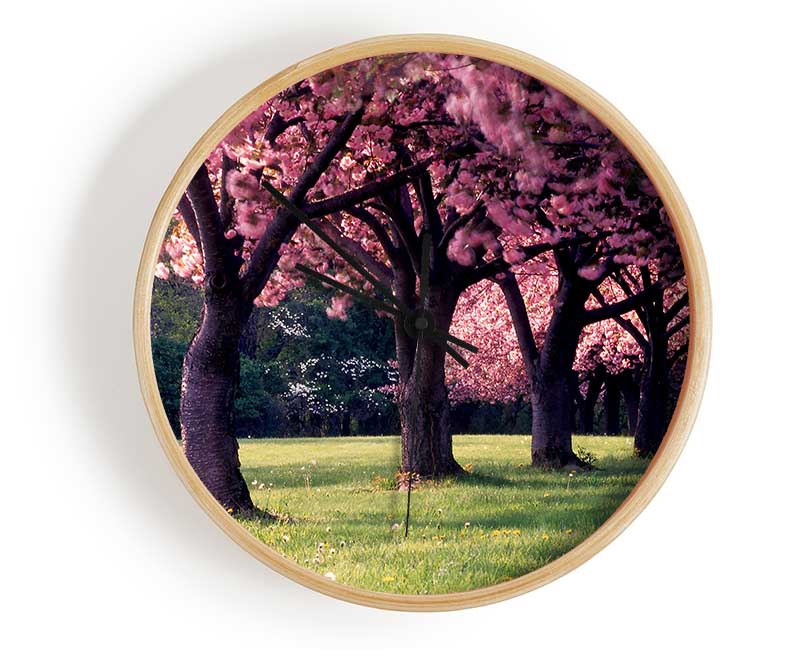 Cherry Blossom Lineup Clock - Wallart-Direct UK