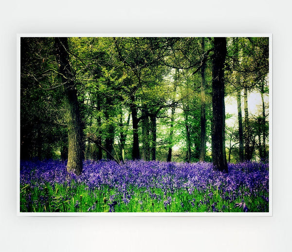 Bluebell Woodland Print Poster Wall Art