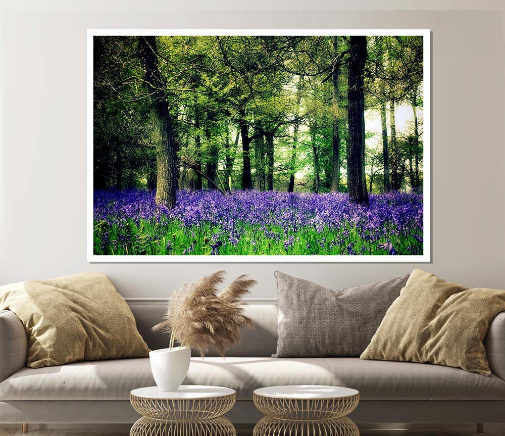 Bluebell Woodland Print Poster Wall Art