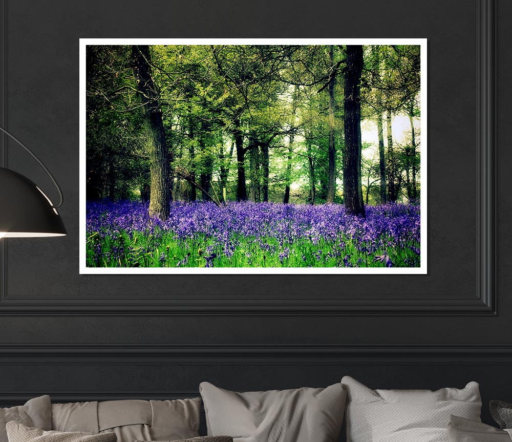 Bluebell Woodland Print Poster Wall Art