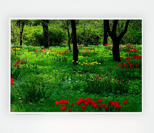 Tulip Woodland Print Poster Wall Art