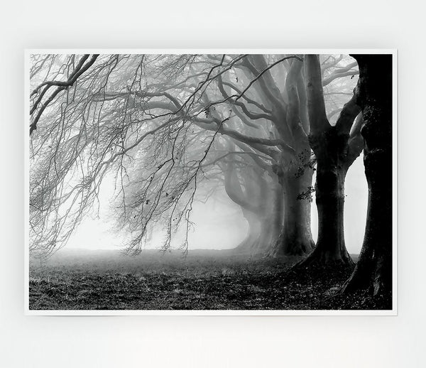 Heavy Branches Print Poster Wall Art