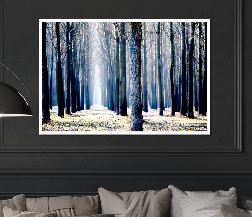 Trees Line Up In Winter Print Poster Wall Art