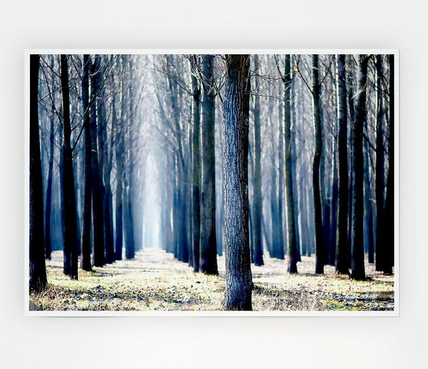 Trees Line Up In Winter Print Poster Wall Art