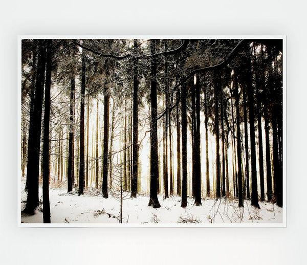 Winter Forest Snow Storm Print Poster Wall Art