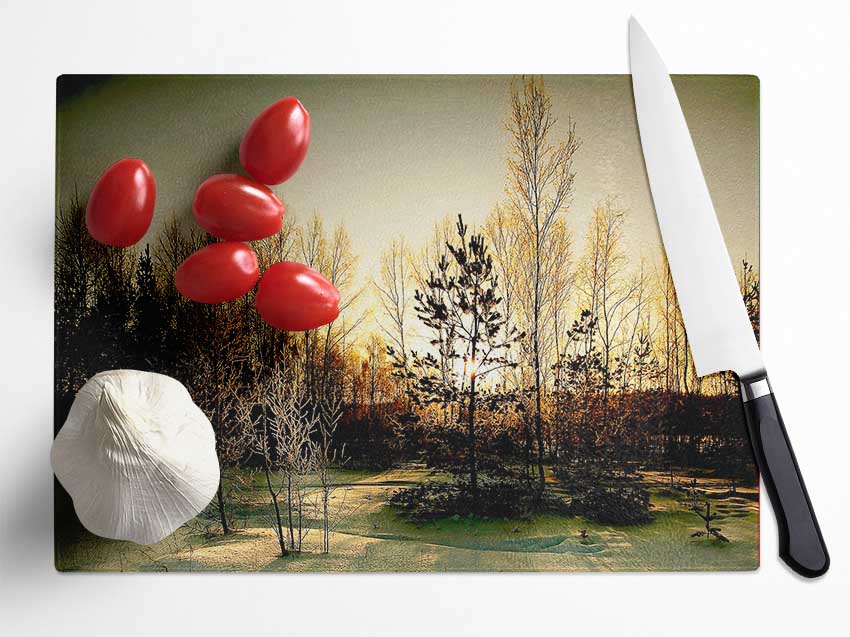 Trees Shadow Winter Glass Chopping Board