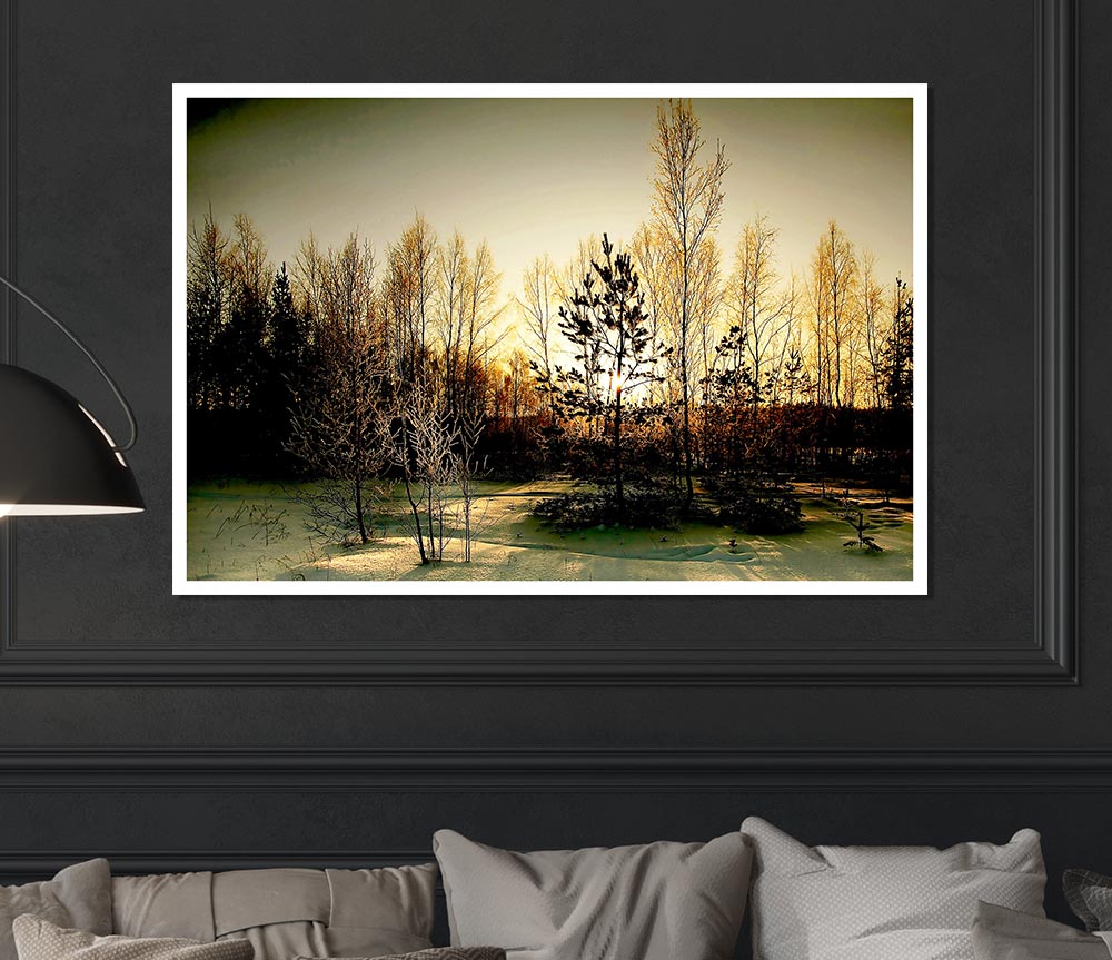 Trees Shadow Winter Print Poster Wall Art