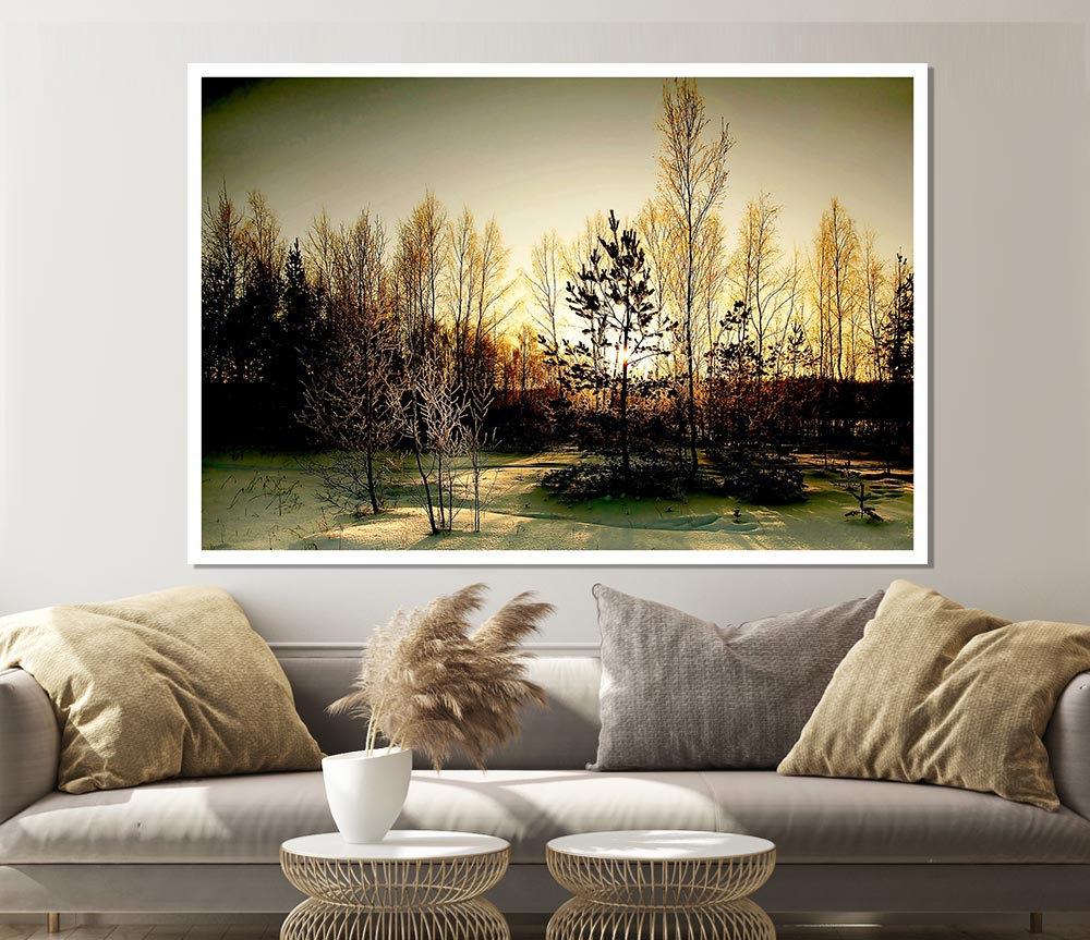 Trees Shadow Winter Print Poster Wall Art