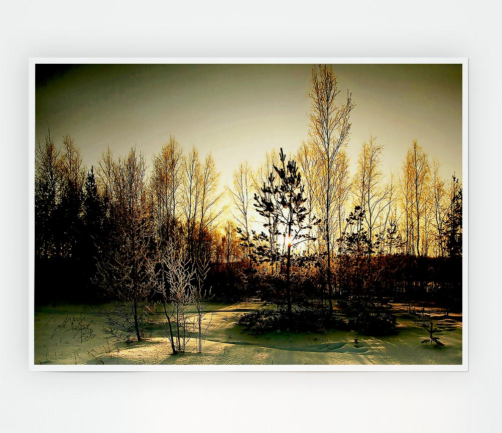 Trees Shadow Winter Print Poster Wall Art